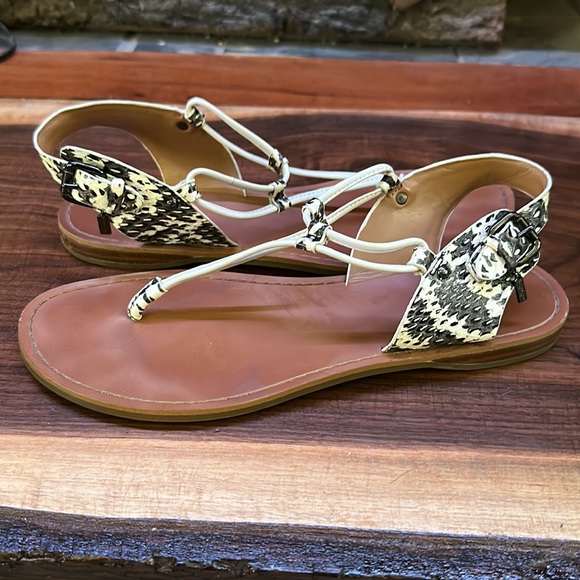 Women’s coach sandals size 10, leather snake skin print with buckles. - Picture 5 of 7